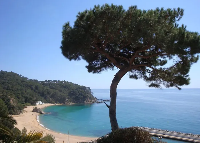 Mirador Lloret de Mar