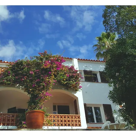 Mirador